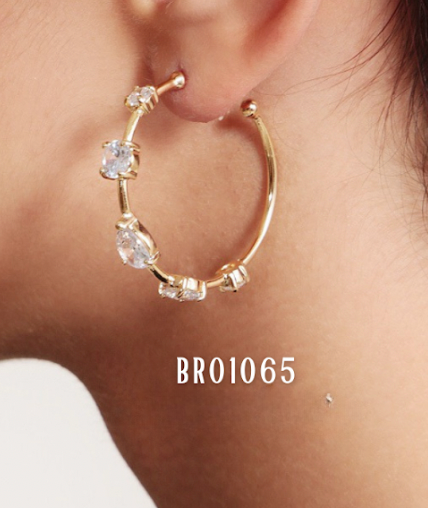 BR01065 Earring