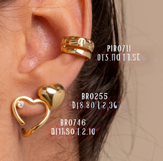 BR0255 - Earring