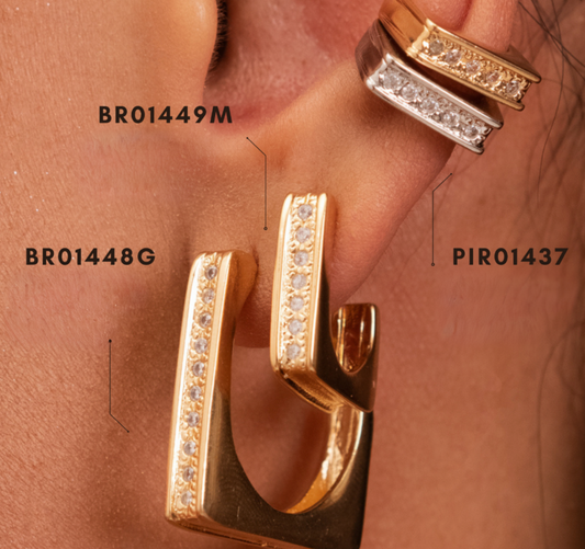 BR01449M - Earring