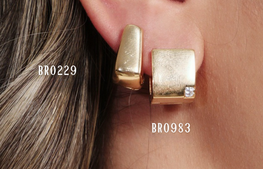 BR0229 - Earring